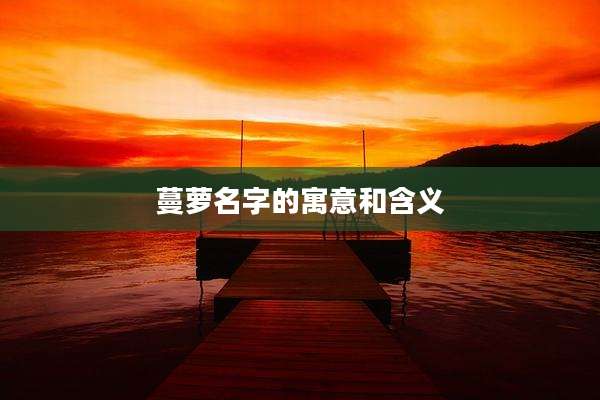 蔓萝名字的寓意和含义