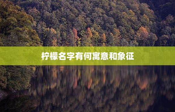 柠檬名字有何寓意和象征