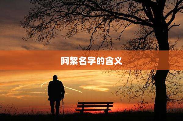 阿絮名字的含义