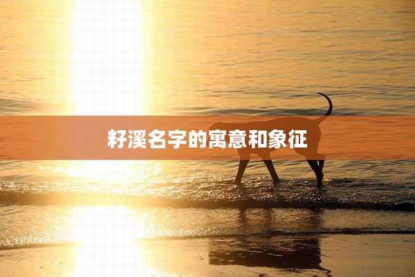 籽溪名字的寓意和象征