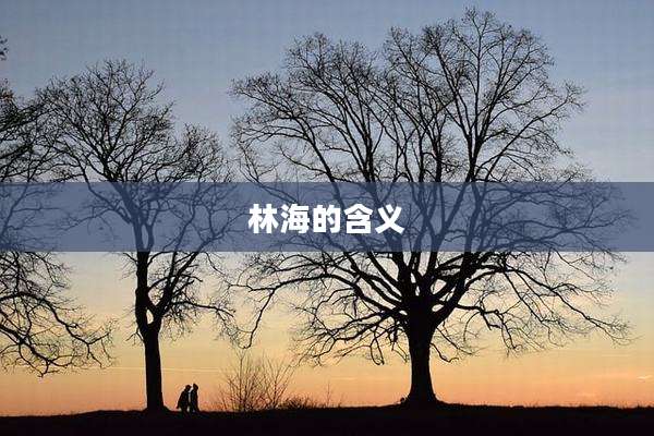 林海的含义