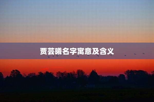 贾芸曦名字寓意及含义