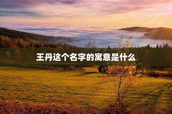 王丹这个名字的寓意是什么