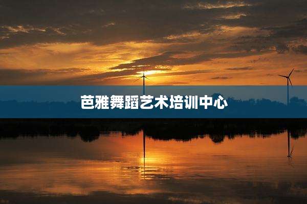 芭雅舞蹈艺术培训中心