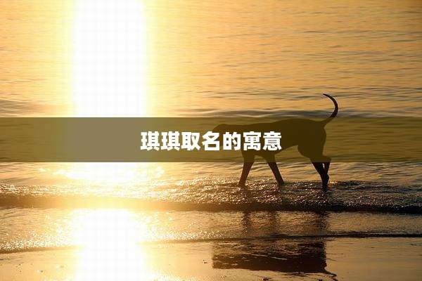 琪琪取名的寓意