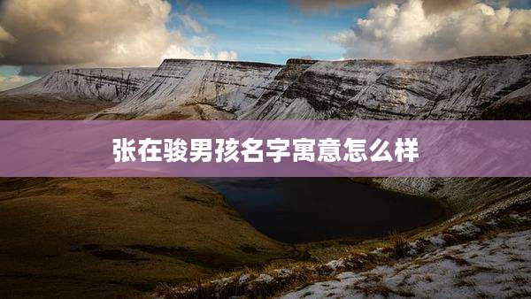 张在骏男孩名字寓意怎么样