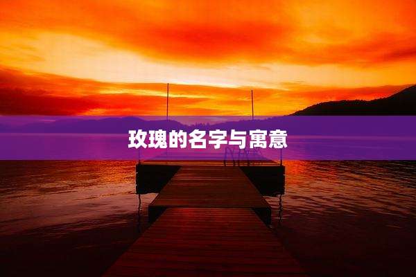 玫瑰的名字与寓意