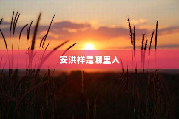 安洪祥是哪里人