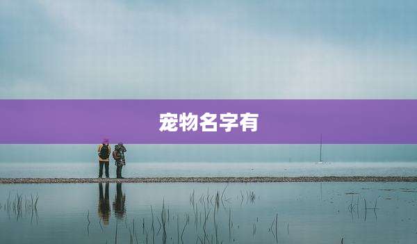 宠物名字有