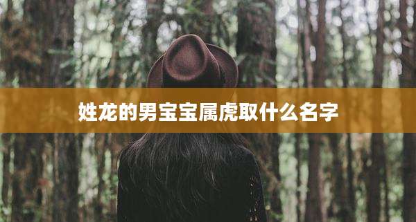 姓龙的男宝宝属虎取什么名字