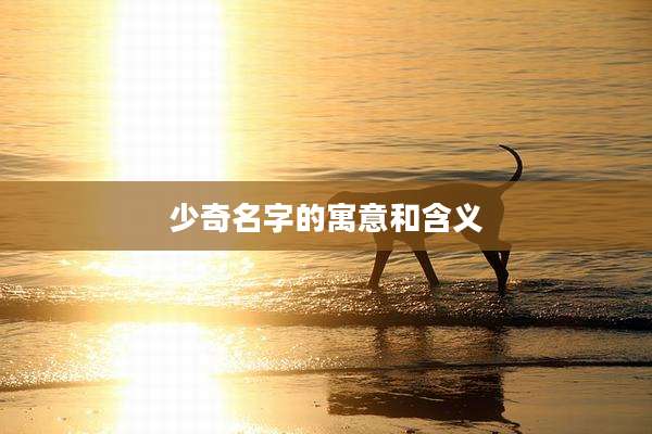 少奇名字的寓意和含义