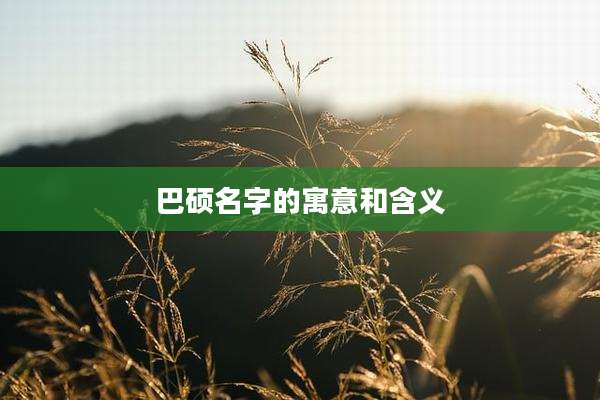 巴硕名字的寓意和含义