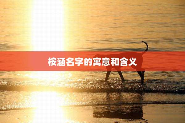 桉涵名字的寓意和含义