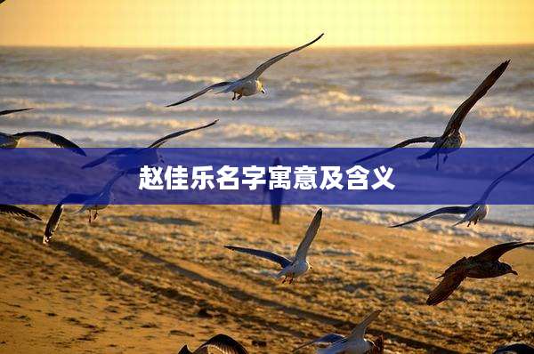 赵佳乐名字寓意及含义