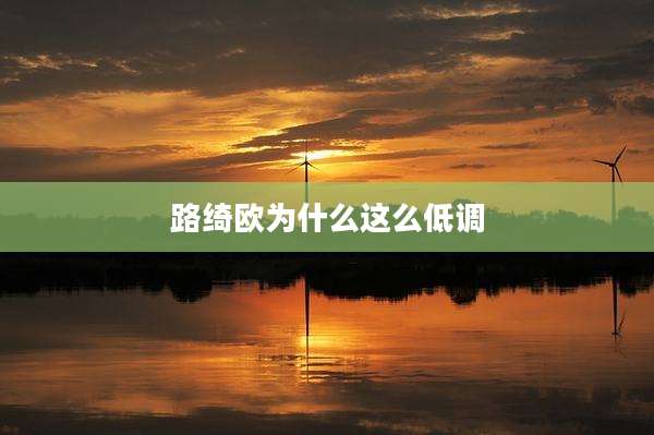 路绮欧为什么这么低调