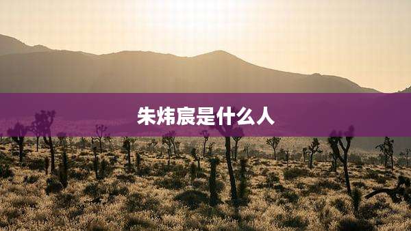 朱炜宸是什么人