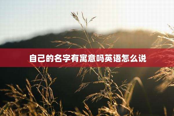 自己的名字有寓意吗英语怎么说