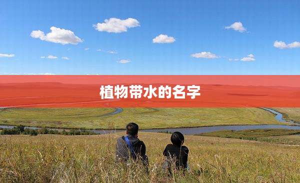 植物带水的名字