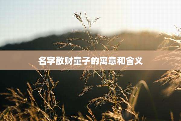 名字散财童子的寓意和含义