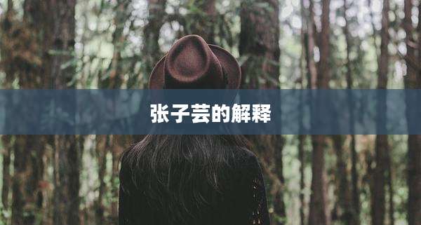 张子芸的解释