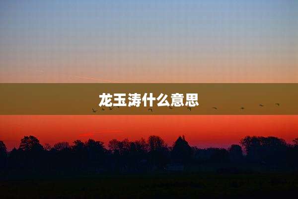 龙玉涛什么意思