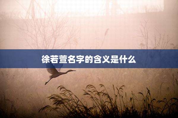 徐若萱名字的含义是什么