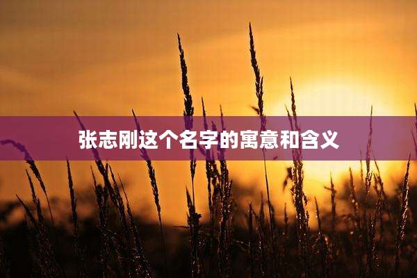 张志刚这个名字的寓意和含义