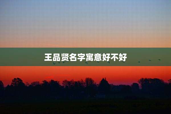 王品贤名字寓意好不好