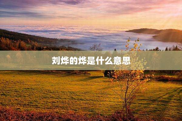 刘烨的烨是什么意思