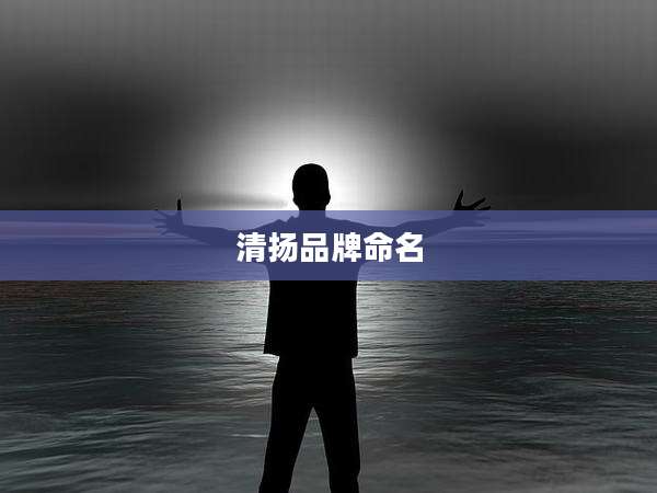 清扬品牌命名