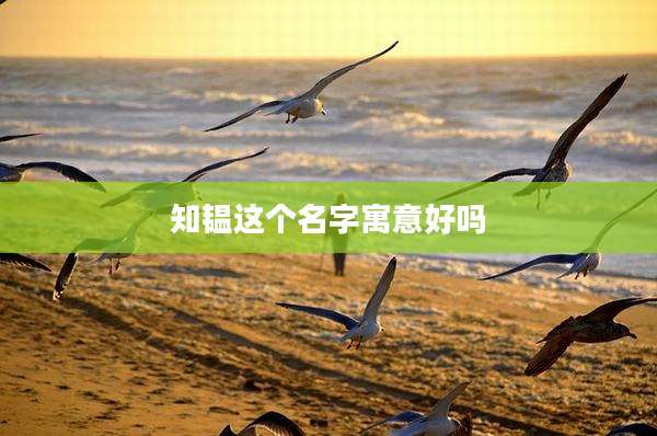 知韫这个名字寓意好吗