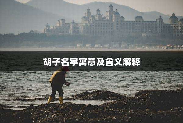 胡子名字寓意及含义解释