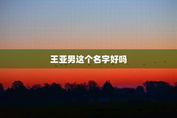 王亚男这个名字好吗
