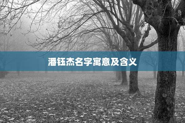 潘钰杰名字寓意及含义