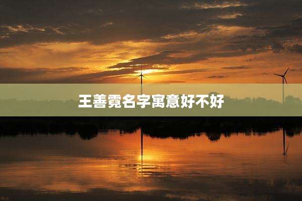 王善霓名字寓意好不好