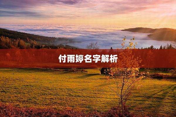 付雨婷名字解析