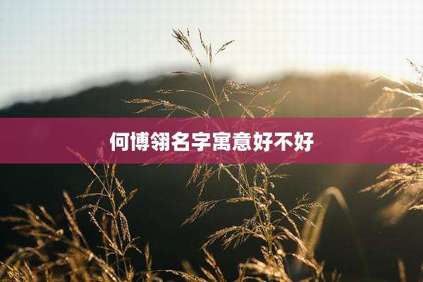何博翎名字寓意好不好