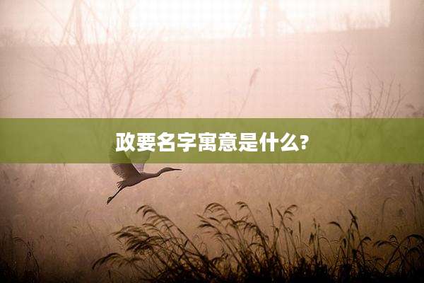 政要名字寓意是什么?