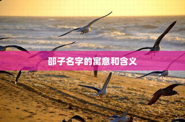 邵子名字的寓意和含义