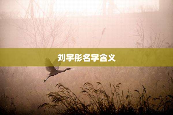 刘宇彤名字含义