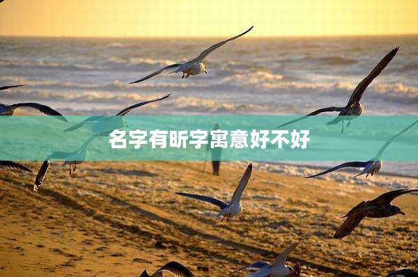 名字有昕字寓意好不好