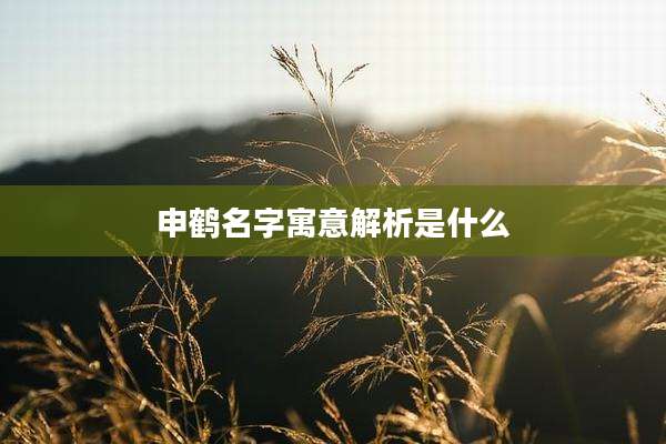 申鹤名字寓意解析是什么