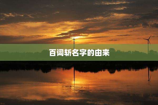 百词斩名字的由来