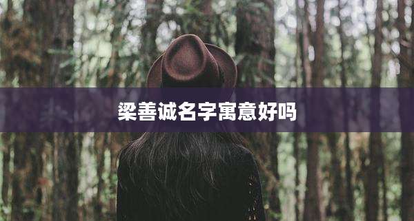 梁善诚名字寓意好吗