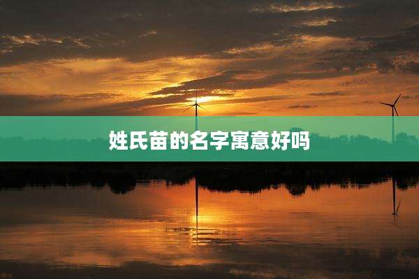 姓氏苗的名字寓意好吗