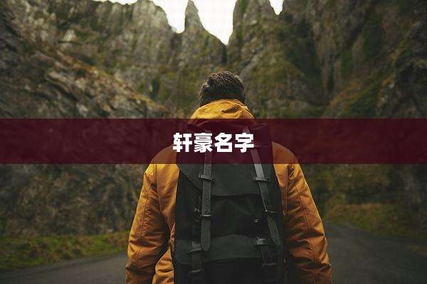 轩豪名字