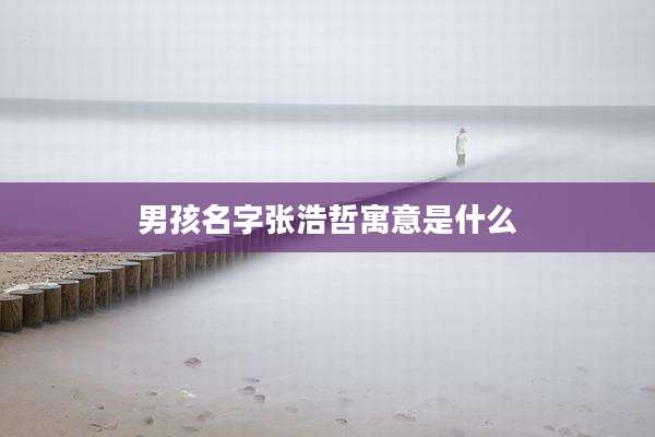 男孩名字张浩哲寓意是什么