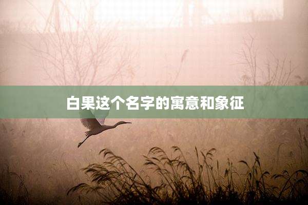 白果这个名字的寓意和象征