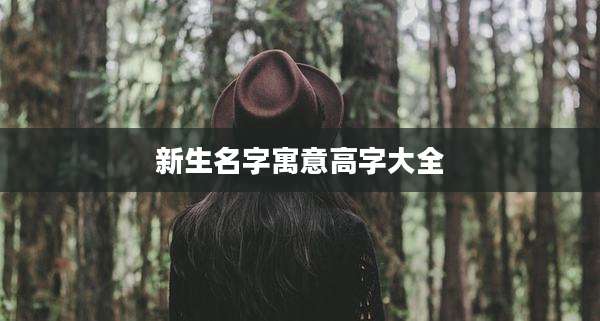新生名字寓意高字大全
