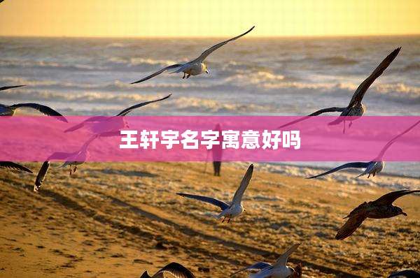 王轩宇名字寓意好吗